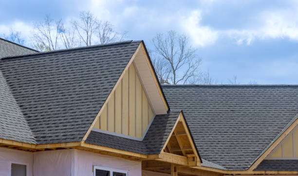 Best Gutter Replacement  in Tuscumbia, AL