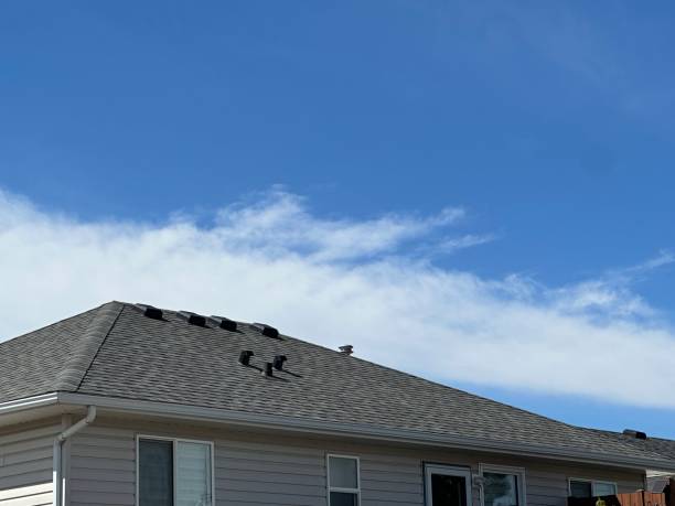 Cold Roofs in Tuscumbia, AL