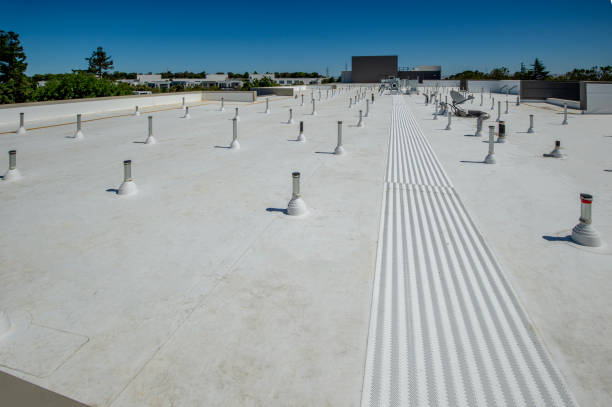 Best Roof Waterproofing  in Tuscumbia, AL